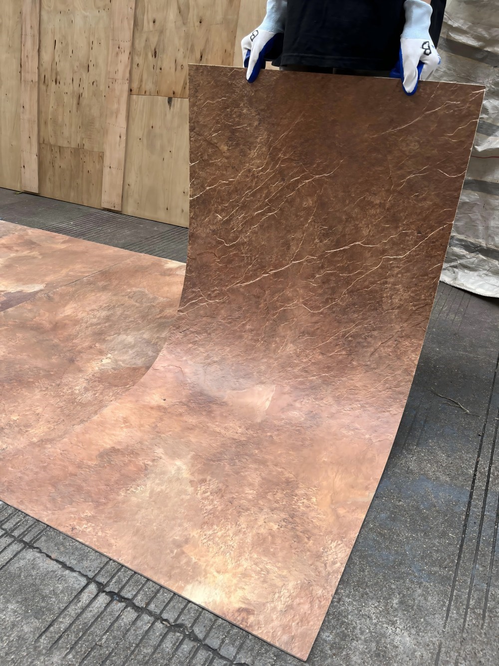 202310281032IMG00541 202310281032IMG00541