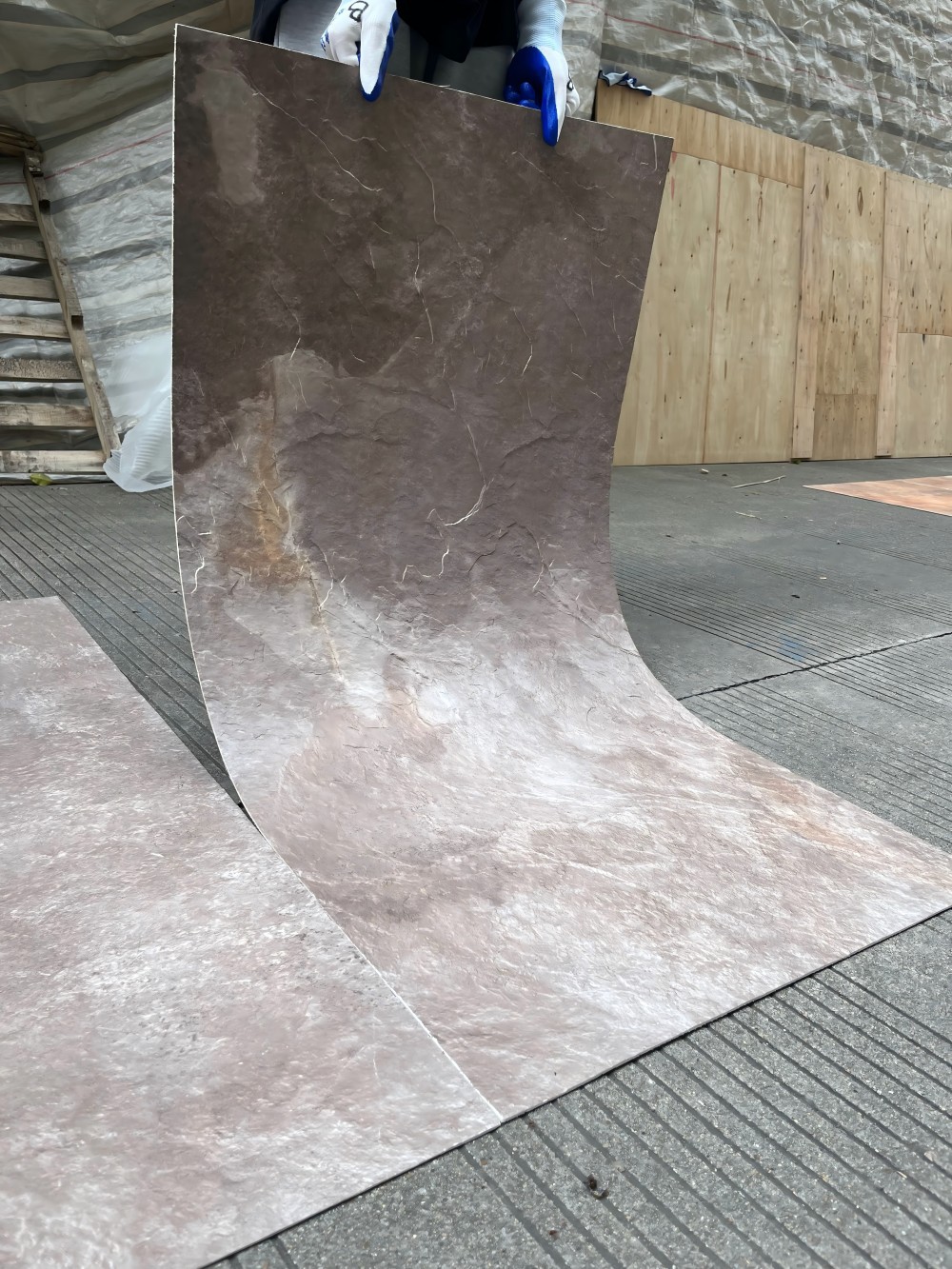 202310281030IMG00432 202310281030IMG00432